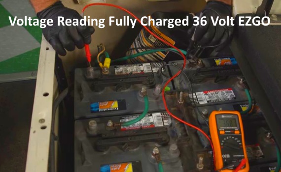 How Many Volts Should A 36 Volt EZGO Battery Pack Charged